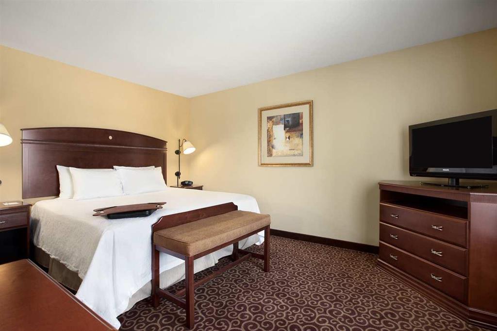 Hampton Inn & Suites Rochester-North Værelse billede